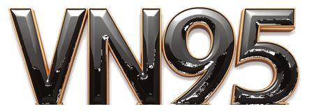 vn95 logo